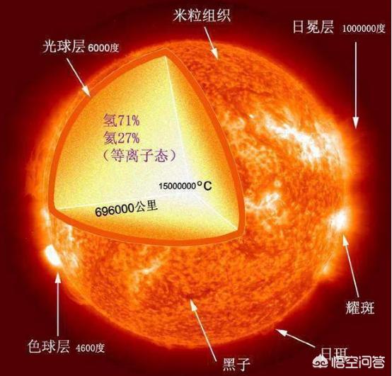 蓝脚鲣鸟为什么:大海的“蓝色眼泪”是如何形成的？