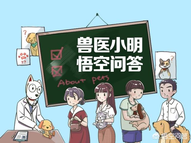 被猫抓伤多少天过危险期了:猫抓伤人后10天没死就没事吗？