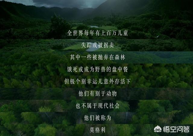 莫格利:《我的莫格利男孩》设计师任何为什么会去抄袭