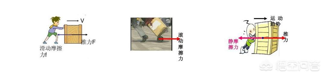 磁力蜘蛛:从哲学角度分析，你觉得蚂蚁和蜘蛛有什么区别？