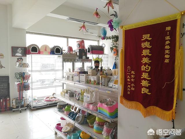 新手应该如何开一家宠物店:想新开一家宠物店，有什么需要注意的？