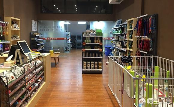 上海宠物用品批发市场的分析报告:开宠物店的市场需求大吗？