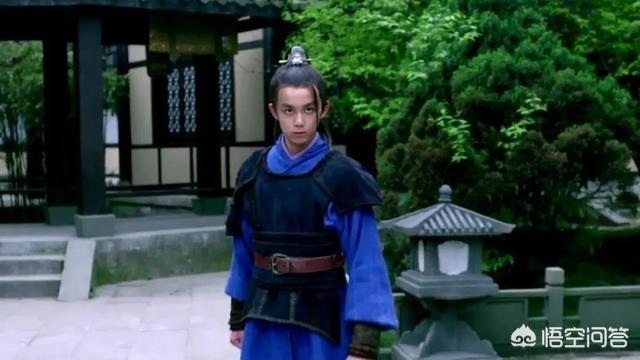 飞流为什么怕蔺晨:电视剧《琅琊榜》中，飞流这个角色是不是可有可无？