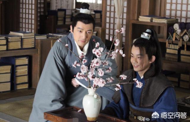 飞流的身世:《琅琊榜》飞流身上有什么秘密？他为何武功高心智却极低？