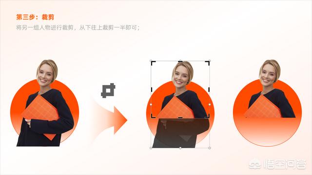 多彩鹦鹉设计素材:宝蓝迷你鹦鹉背景纸选什么颜色好？