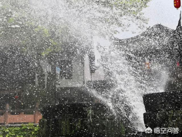 近期重庆贵阳救狗事件:为什么爱狗人士可以直接拦下一些运狗的车，而且不承担任何责任？