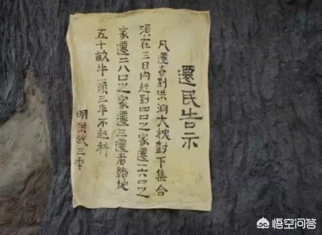 綦振慷:有多少姓氏是从山西大槐树迁移出来的？