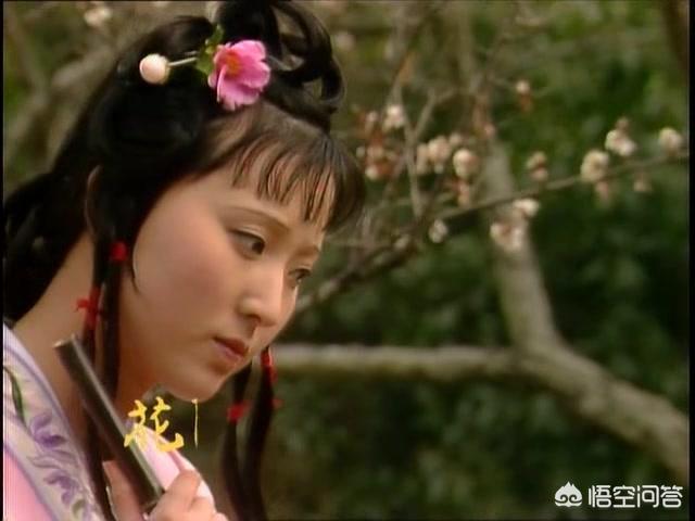 鸟自无言花自羞的谜底:《红楼梦》之《葬花吟》“鸟自无言
