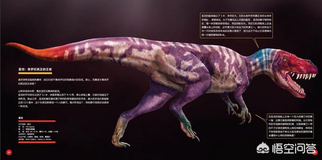 精选优质答案:蛮龙与镰刀龙同属于兽脚类恐龙,但是