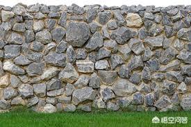 怎么做院子围墙又便宜又好看？插图54