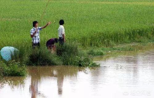 战地4狗牌收集图文:有些电子游戏为什么那么吸引人呢？