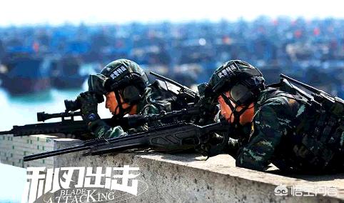 严小雨:如何评价电视剧《利刃出击》