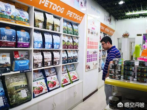 想开家宠物连锁店:开个品牌宠物店需要多少钱呢？