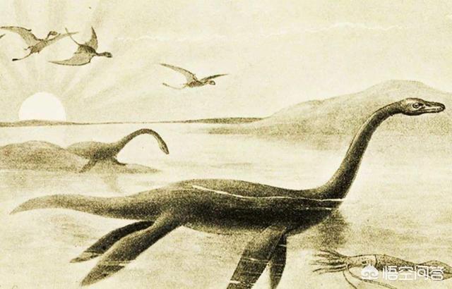 尼斯湖水怪真的假的，尼斯湖水怪是远古蛇颈龙的后代吗
