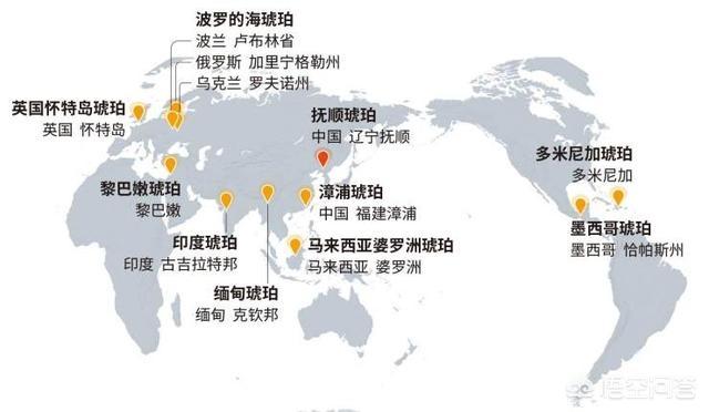 眼镜猴近亲:最尴尬：交配时被制成琥珀，四千万年后还要被围观，你怎么看？