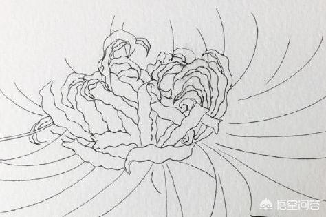 哪吒简笔画,如何画出彼岸花（石蒜）？