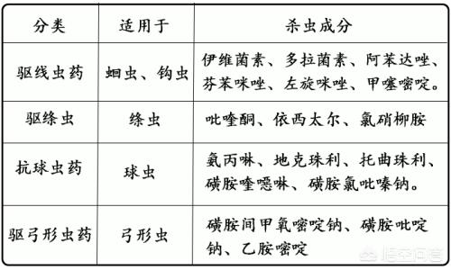 犬绦虫病传染给其他狗吗:狗狗身上的虱子会传染人吗？