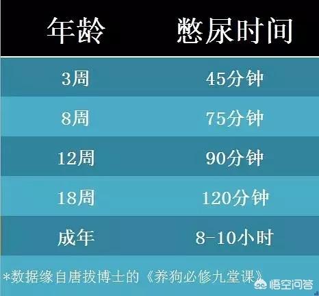 狗狗憋12小时的尿会出现什么问题吗