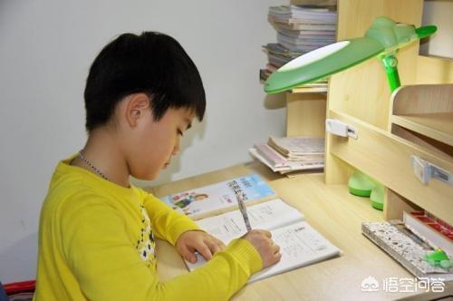 小学阶段特别是一二年级,贪玩的年纪,需要养成哪些好的学习方法和习惯呢？怎么培养？