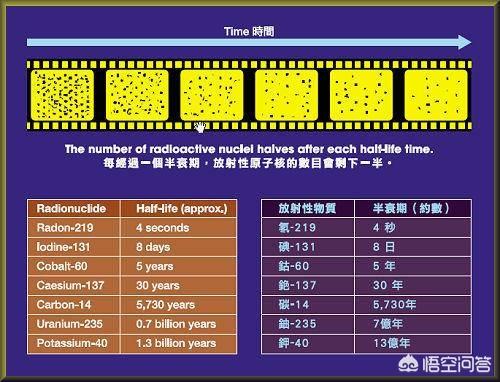 鹿角虫寿命是多少:原子、质子、中子、电子等微观粒子有寿命吗？