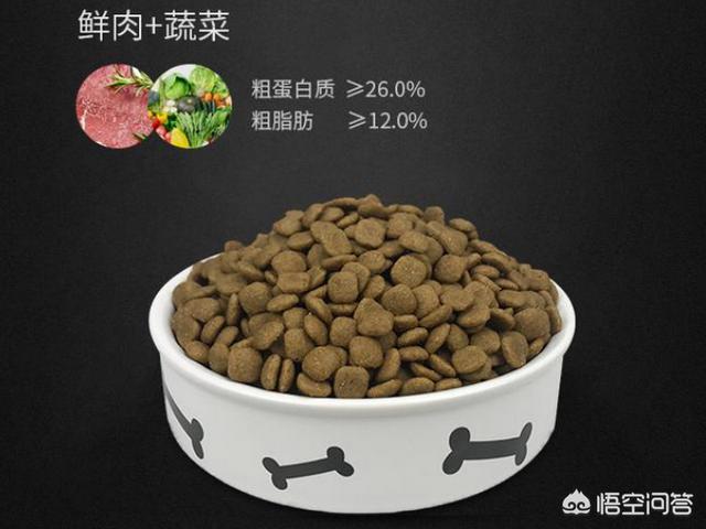 中国导盲犬品种:中国正在征用的军警犬有哪些？