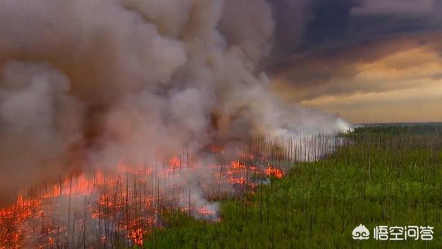 世界最大湿地遭遇严重火灾-世界最大湿地火灾