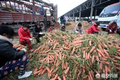 农产品滞销,很多人说是农户没有市场意识,可是往往尝试新模式的,却血本无归,怎么办？