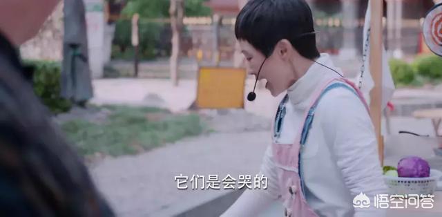 郭采洁男朋友:杨祐宁郭采洁分手后感情现状如何？