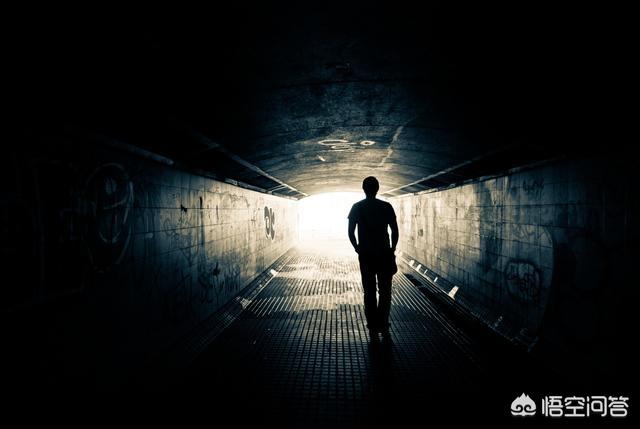 人体寿司电影在线观看,能否推荐一些解剖人性的电影？