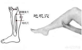 艾灸去湿气灸哪个部位,虚胖湿气重，按哪个穴位有用？