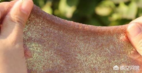 海藻面膜的使用方法(海藻面膜的用法和步骤)