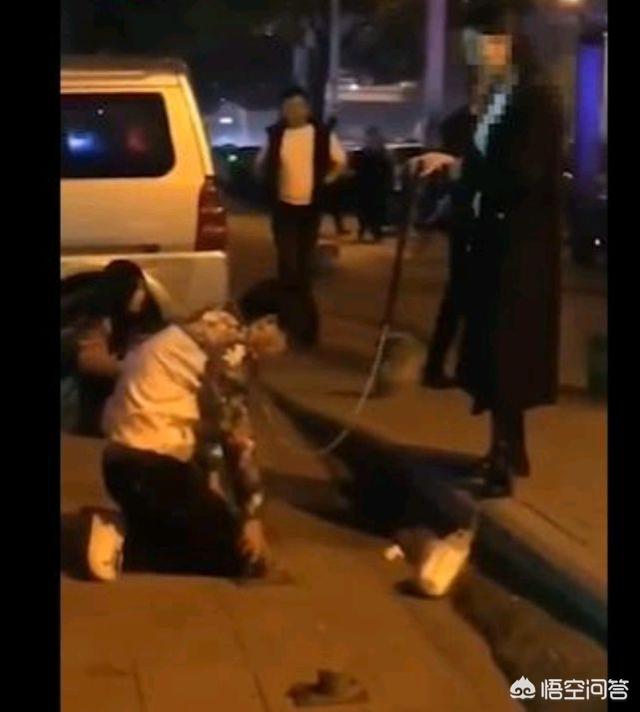 带宠物鸭扫大街萌坏路人:如何看待重庆万州“男子当街被一女子牵着当狗溜”？
