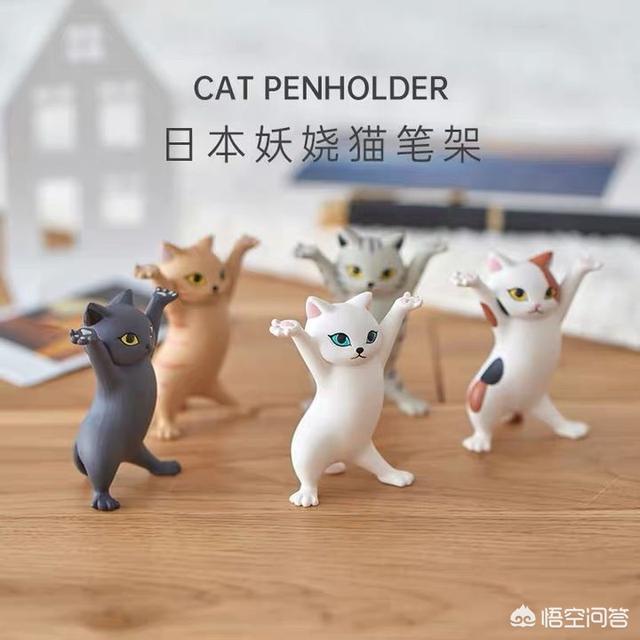 邹奇奇:你见过最猥琐的人有多猥琐？