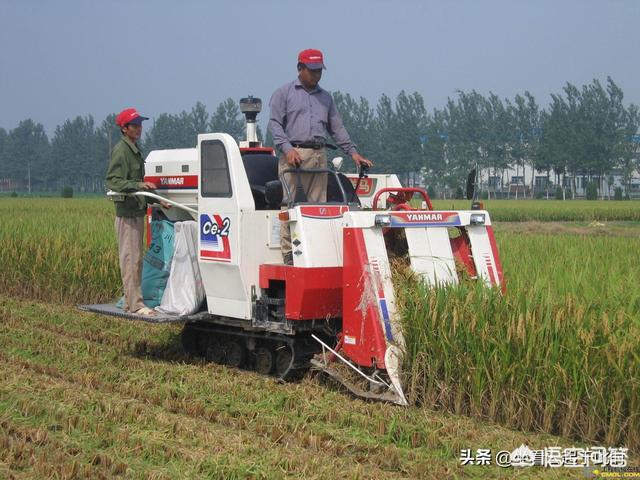 三十年河东三十年河西。再过若干年后,城市人口会不会大量流向农村？