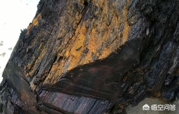 百年乌木价格:“乌木”到底是何物？它是怎样形成的？为何总能卖出天价？