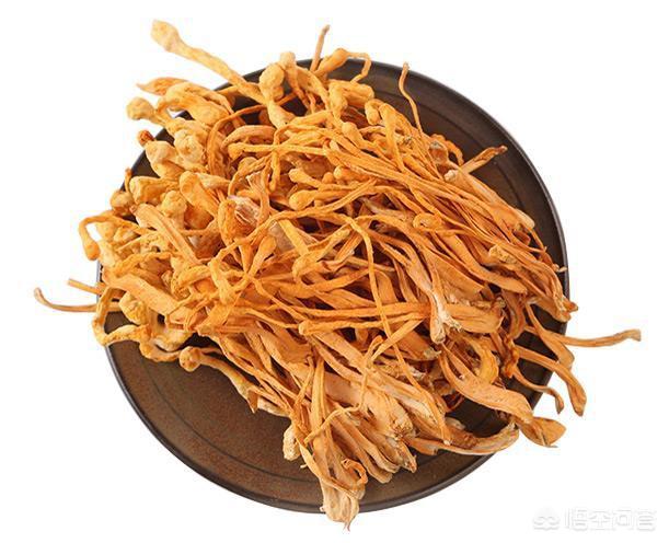 茶花缺水严重落叶怎么补救