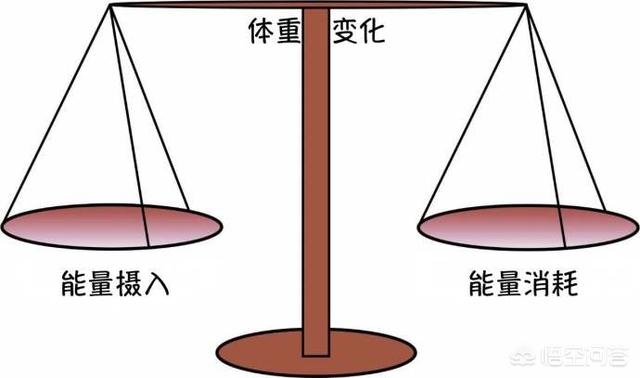 健身减脂期间,三餐怎么吃？