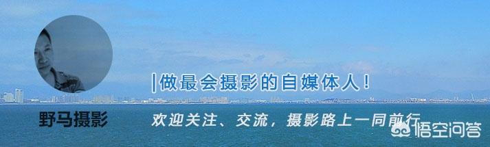 全手动镜头相机速度如何控制