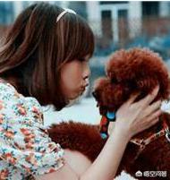 泰迪乱咬牵引绳:你家泰迪犬最反感的是什么？