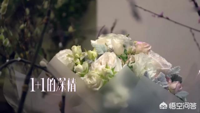 陈荣峻:有哪些访谈类综艺节目让你觉得特别真实，甚至感动到哭的？