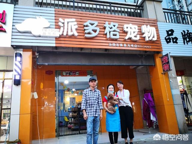 开宠物店须知？