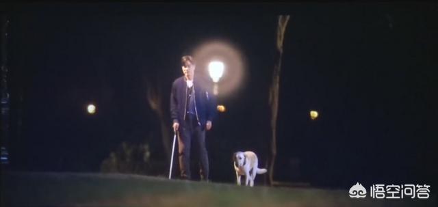 导肓犬小q在线观看:如何评价任达华、梁咏琪主演的关于导盲犬电影《小Q》？