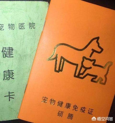 法斗犬能坐飞机吗:宠物可以带上飞机么，宠物如何办理托运？
