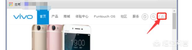 vivo官网首页登录,怎么查看vivo账户密码？