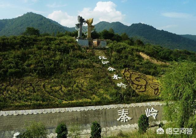 美女帮蛇蜕皮视频:哪种动物是所有蛇类的天敌？
