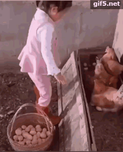 狗狗视频大全搞笑:有哪些有意思的狗子小视频？