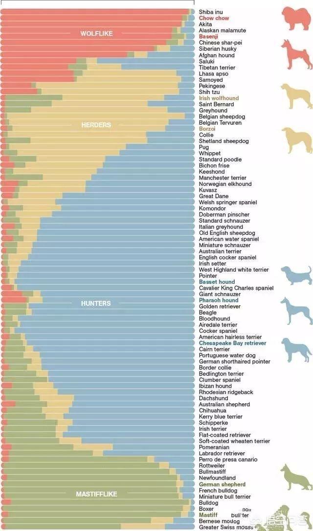 狗和狼的DNA一样吗？插图