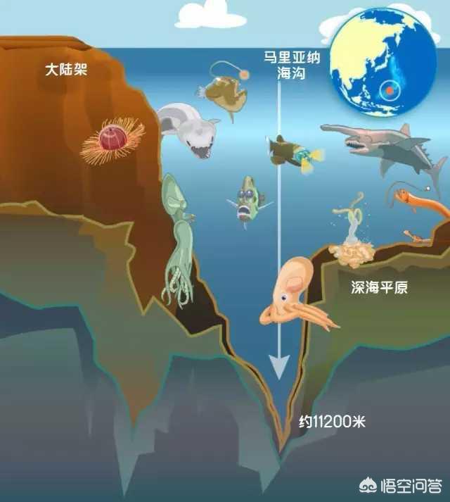 马里亚纳海沟:马里亚纳海沟会不会深入地心？下面有什么？