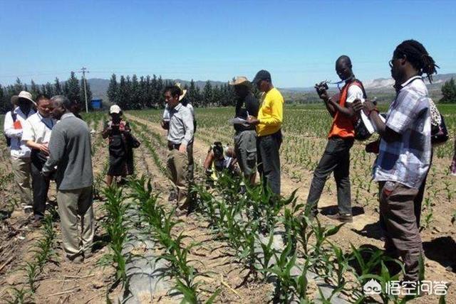 非洲土地广袤，为什么那里的人不种地，他们吃什么？插图53