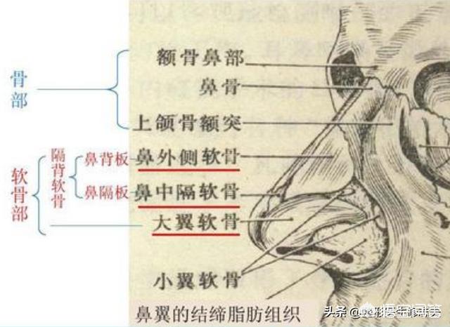 鼻炎鼻翼变大鼻炎吧:长期挖鼻孔，鼻翼会变大吗？